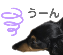 387687330