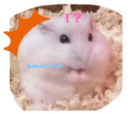 387784890