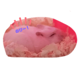 387784891