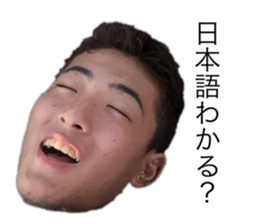 387786072