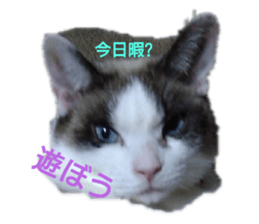 387855510