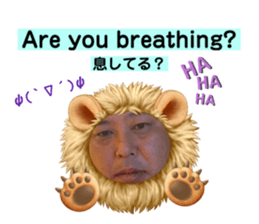 387868493