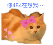 387874922