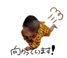 387903310
