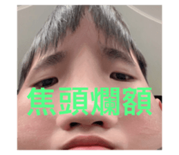 387904591