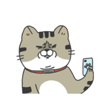 388018207