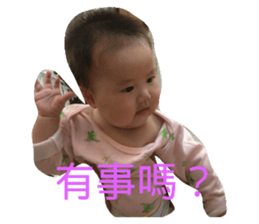 38807897