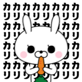 388246456