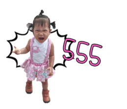 38830065