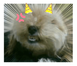 388342325