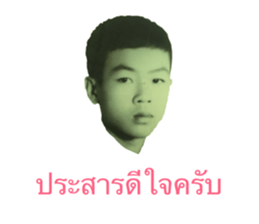 38836501