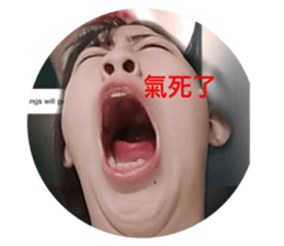 388373690