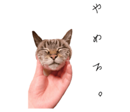 388375452