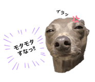 388383870