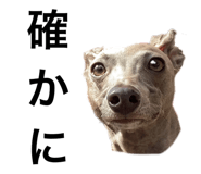388383873