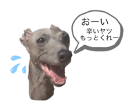 388383876