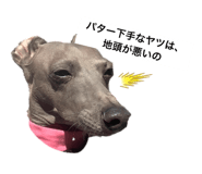 388383877