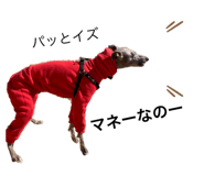 388383881