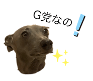 388383885