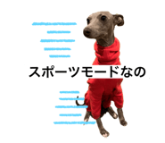 388383892