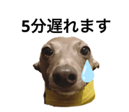 388383901