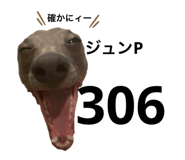 388383905