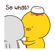 388590981