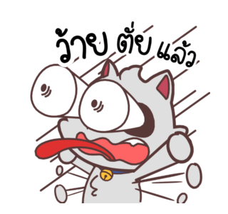 ลายที่ 5