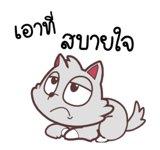 ลายที่ 13