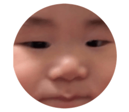 388828856