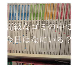 389086545