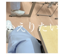 389086547