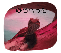 389086577
