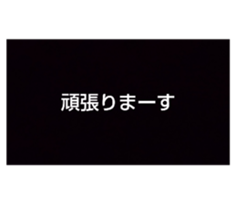 389091242