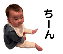 389096594