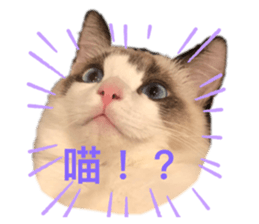 389289638