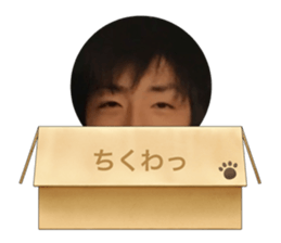 389334538