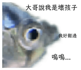 389446437
