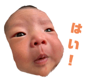 389475791