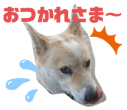 389513810