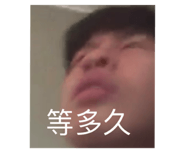 389527194