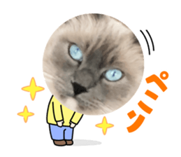 389544029