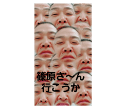 389577241