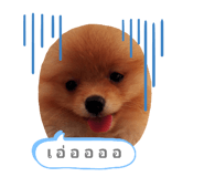 389738253