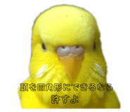 389963794