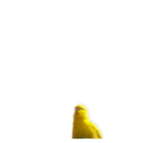 389963802