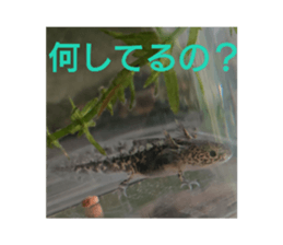 390040904