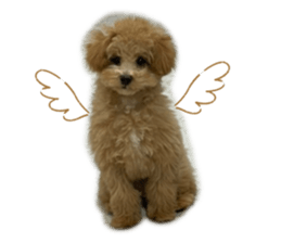 390047760