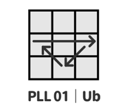 390081558