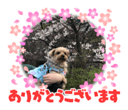 390263251